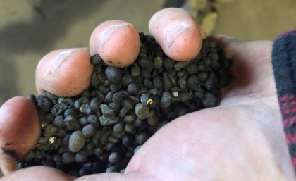 A close-up photo of a hand holding granules of black compost